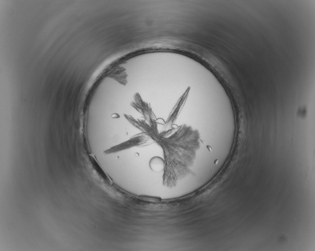 X0000113161232200909251344