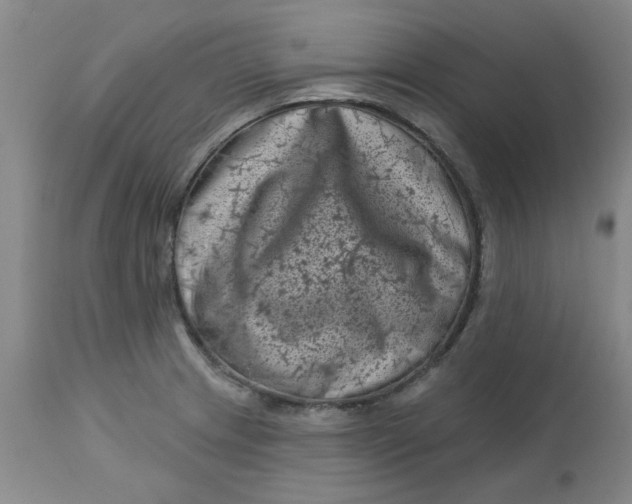 X0000113161233200909251344