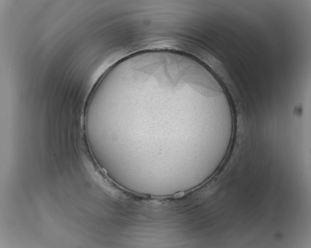 X0000113161234200909251344