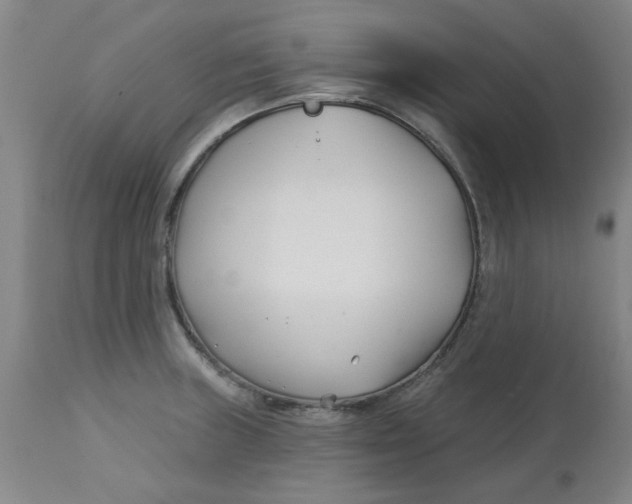 X0000113161235200909251344