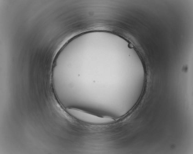 X0000113161236200909251344