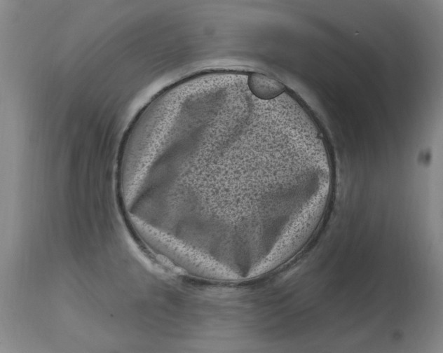 X0000113161237200909251344