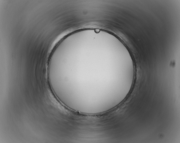 X0000113161238200909251344