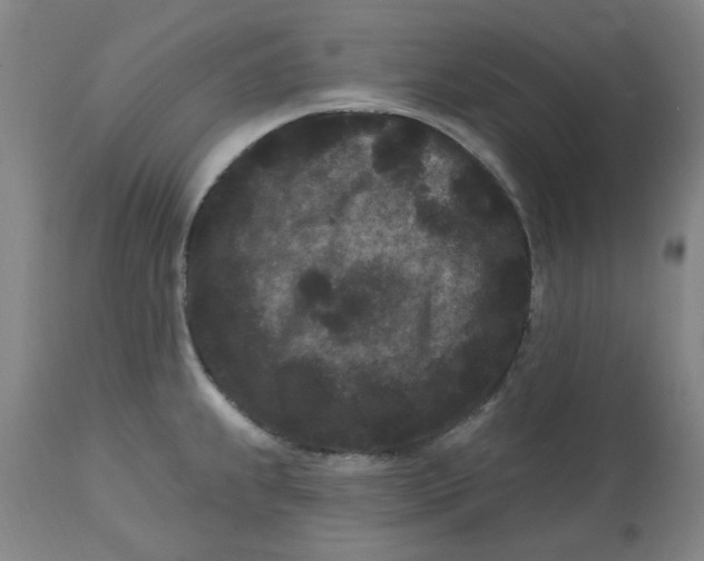 X0000113161239200909251344