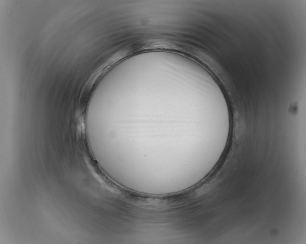 X0000113161241200909251344