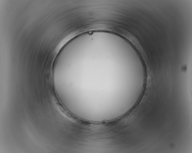 X0000113161242200909251344