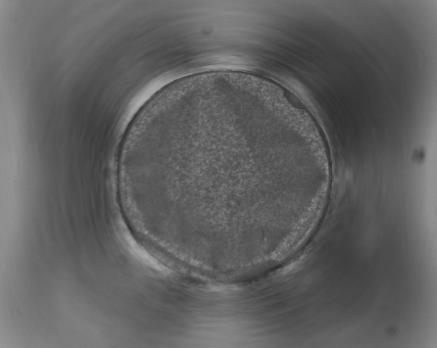 X0000113161243200909251344