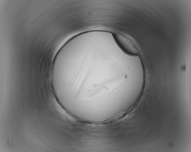 X0000113161244200909251344