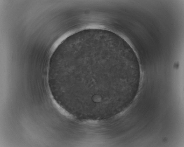 X0000113161245200909251344