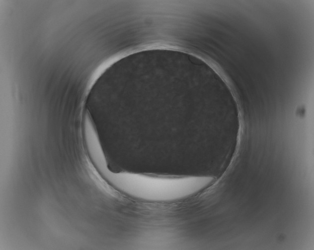 X0000113161246200909251344