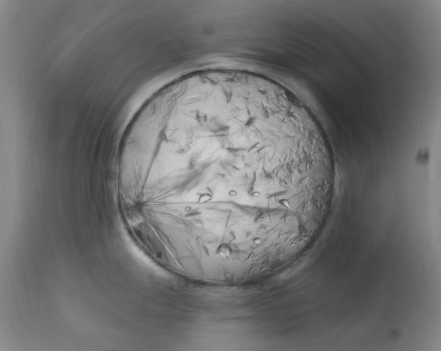 X0000113161247200909251344