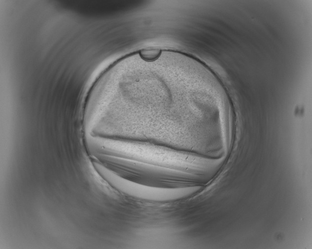 X0000113161248200909251344