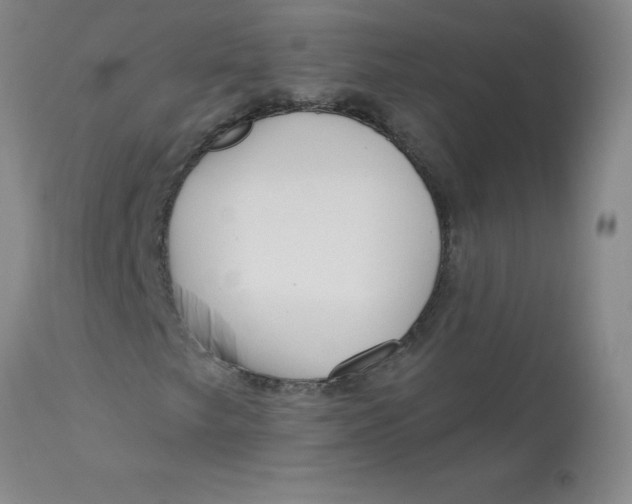 X0000113161249200909251343