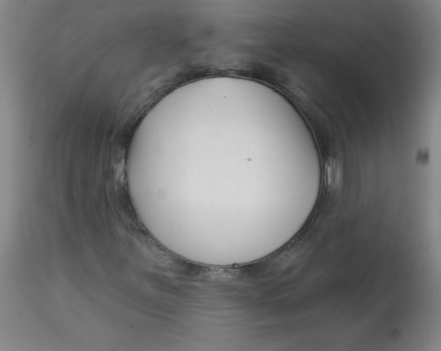 X0000113161251200909251343