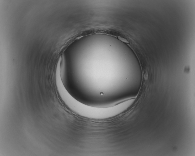 X0000113161252200909251343