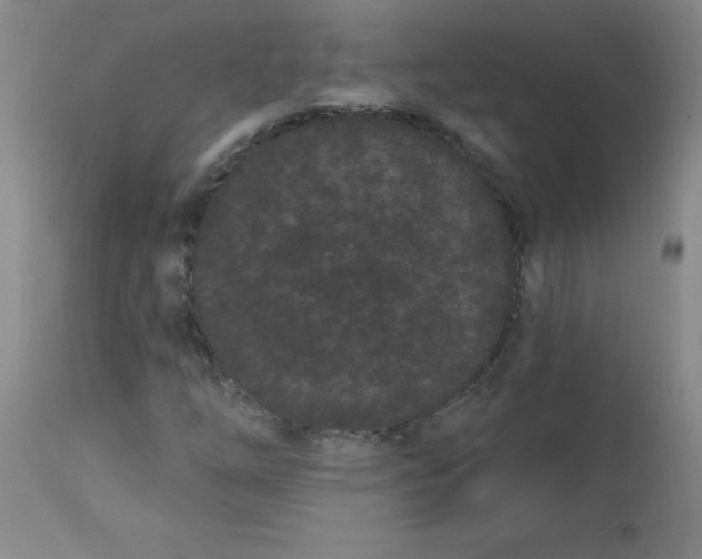 X0000113161254200909251343