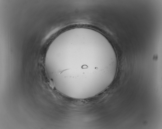 X0000113161255200909251343