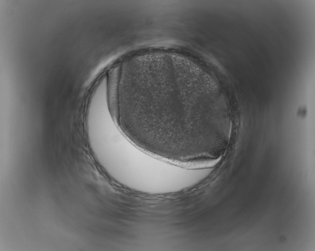 X0000113161256200909251343