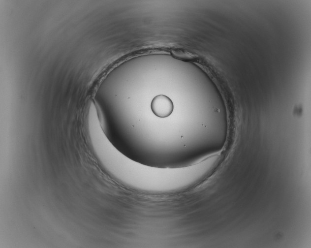 X0000113161257200909251343