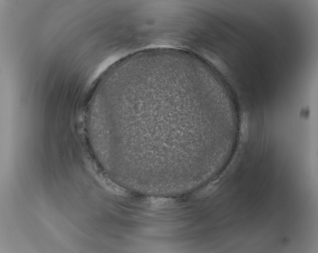 X0000113161258200909251343