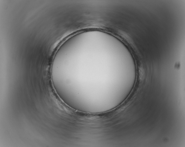 X0000113161260200909251343