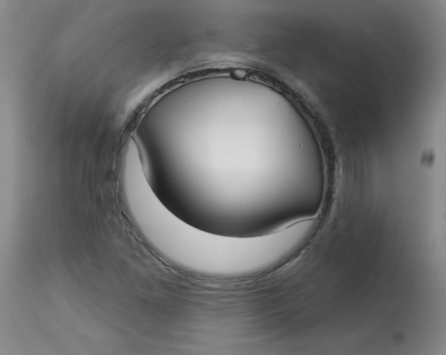 X0000113161261200909251343