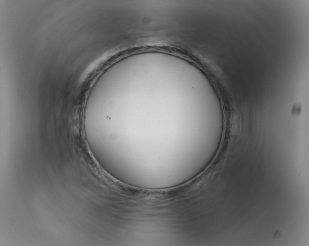 X0000113161262200909251343