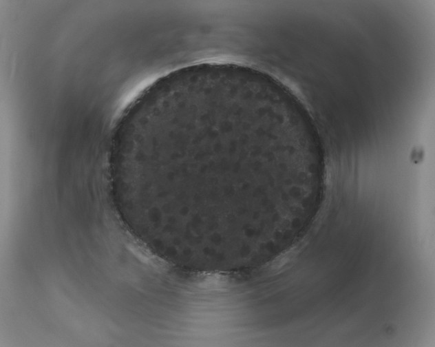 X0000113161263200909251343