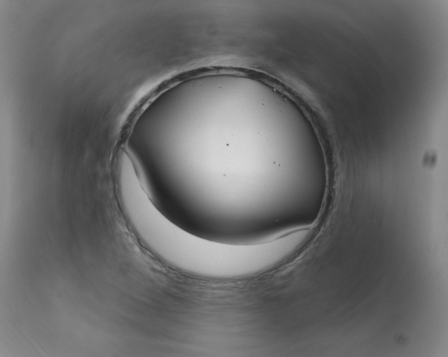 X0000113161264200909251343