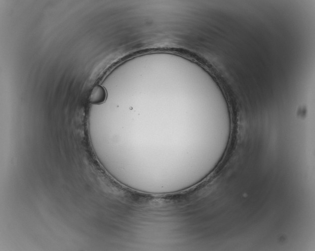 X0000113161265200909251343