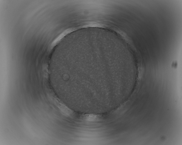 X0000113161266200909251343