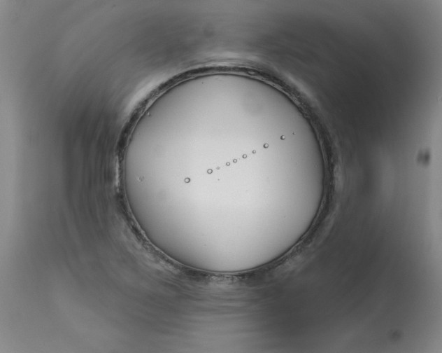 X0000113161267200909251343