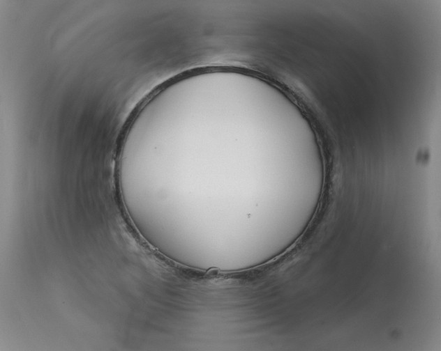 X0000113161268200909251343