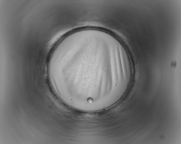 X0000113161271200909251343