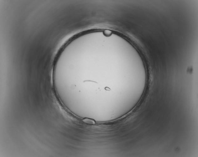 X0000113161272200909251343