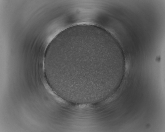 X0000113161274200909251343