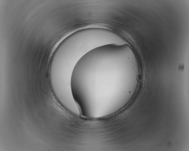 X0000113161276200909251343