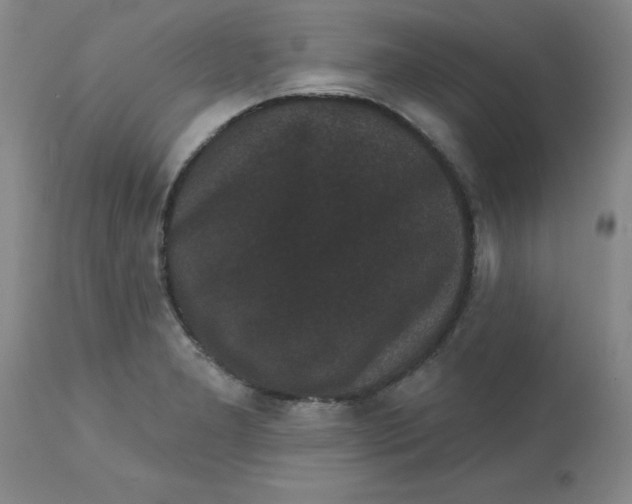 X0000113161277200909251343