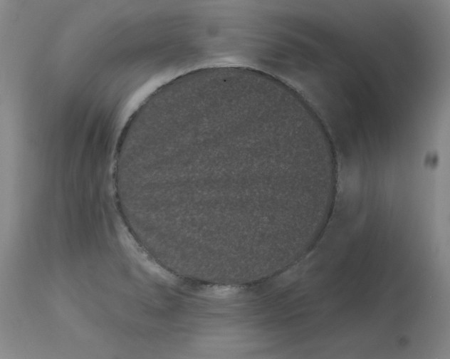 X0000113161278200909251343