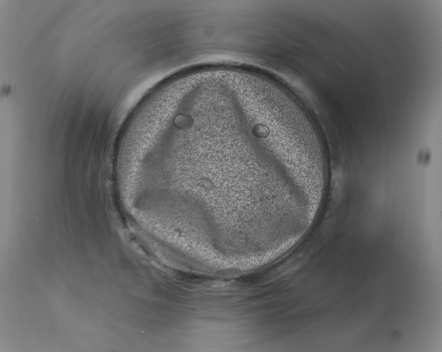 X0000113161279200909251343