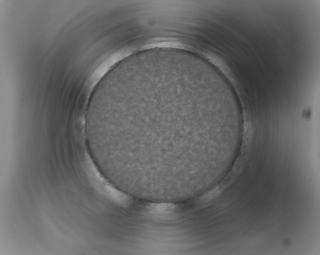 X0000113161282200909251343