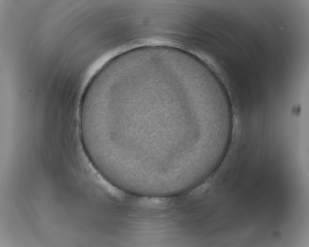 X0000113161286200909251343