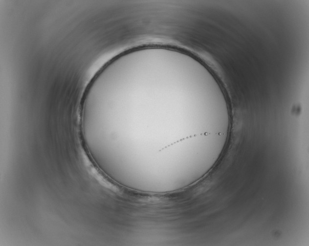 X0000113161287200909251343