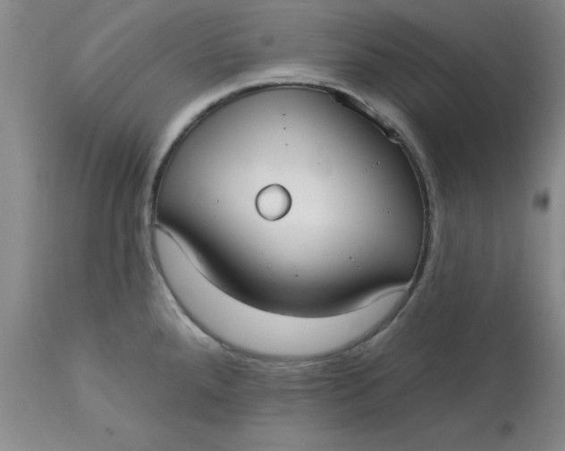 X0000113161288200909251343