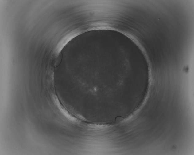 X0000113161289200909251343