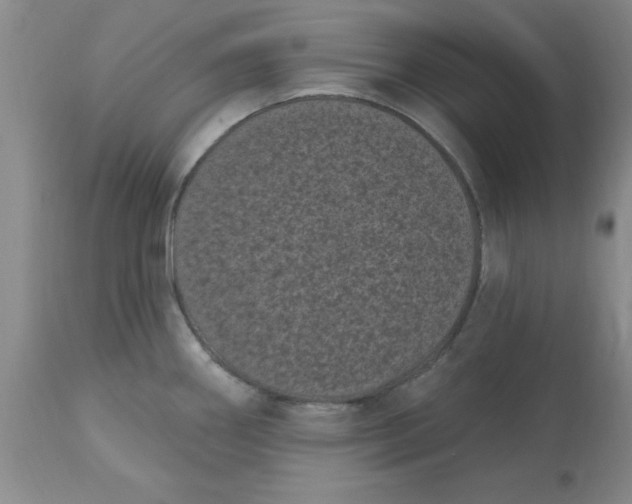 X0000113161290200909251343