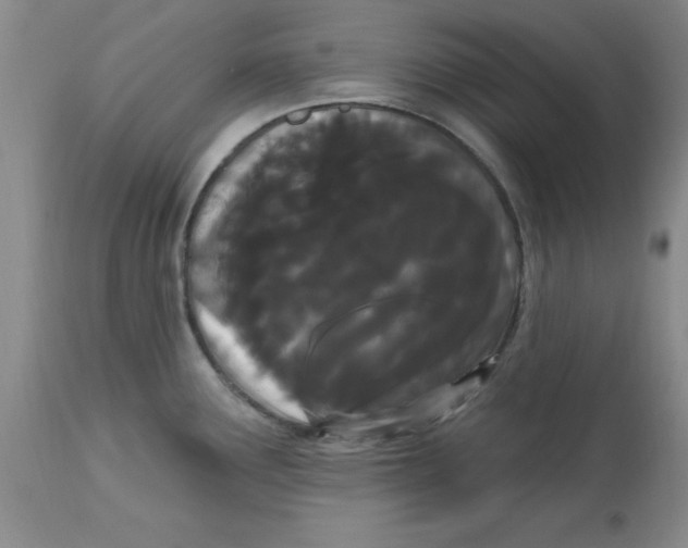 X0000113161291200909251343