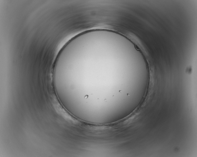 X0000113161292200909251343