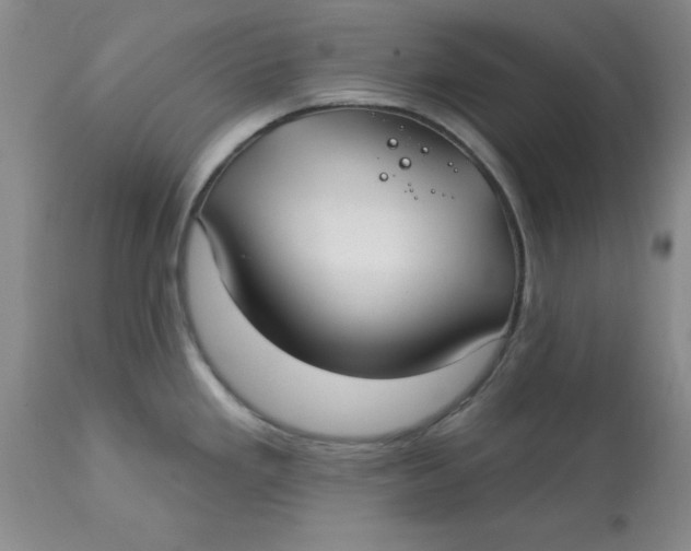 X0000113161293200909251343