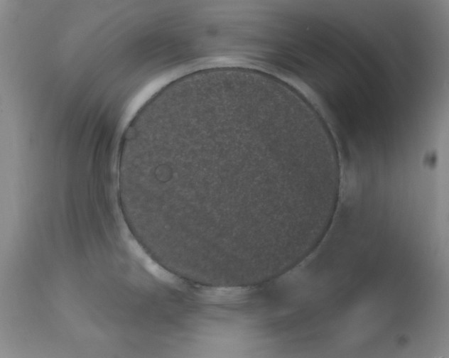 X0000113161294200909251343